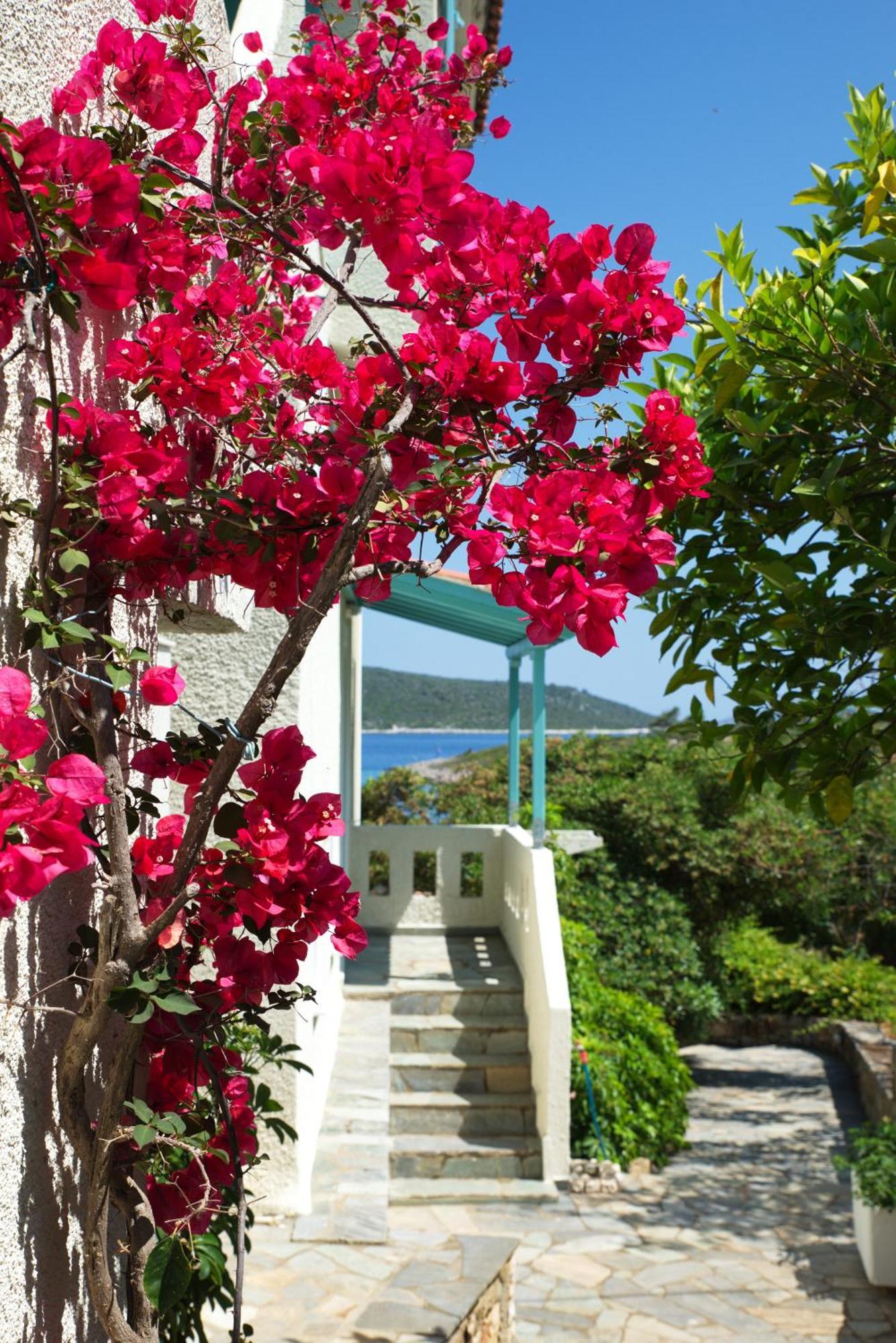 Appartamento Casa Kalypso Steni Vala Alonissos Esterno foto