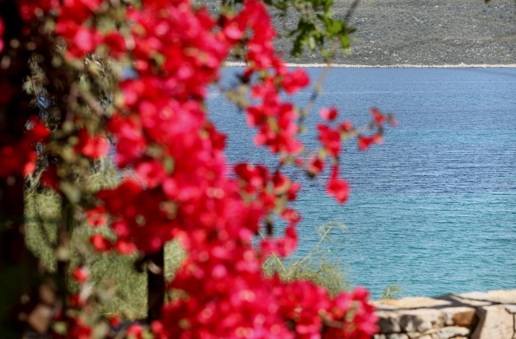 Appartamento Casa Kalypso Steni Vala Alonissos Esterno foto