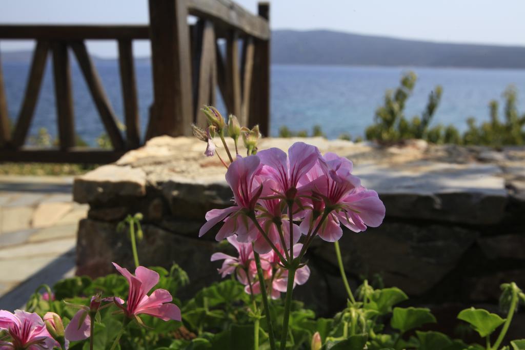 Appartamento Casa Kalypso Steni Vala Alonissos Esterno foto